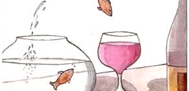 Pesci che saltano verso bicchiere di vino.