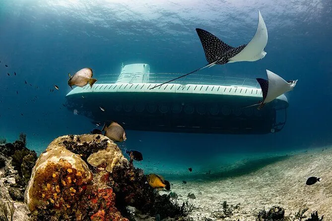 Sottomarino turistico esplora fondale marino.