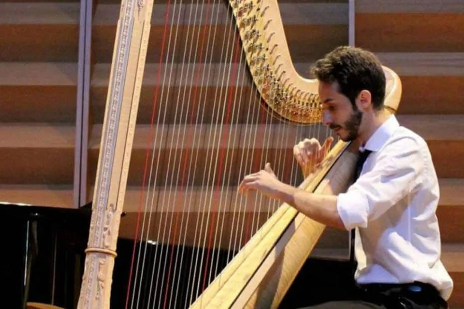 Uomo esegue brano con arpa in concerto.
