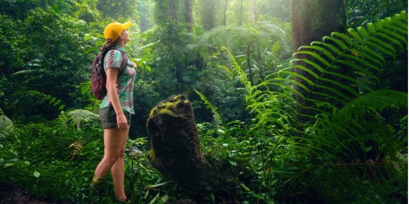 Escursionista in foresta pluviale tropicale.