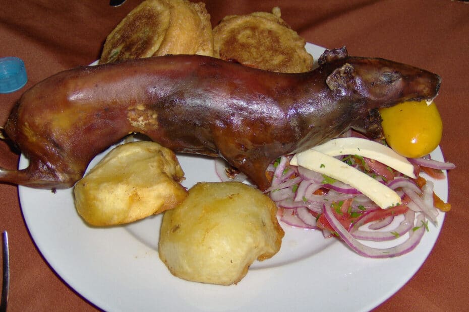 Piatto tipico peruviano di cuy arrosto con contorni.