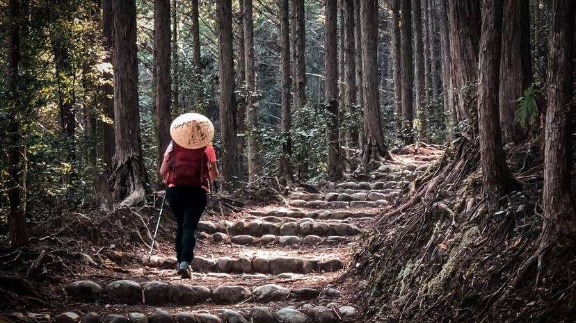Escursionista in un sentiero boscoso.