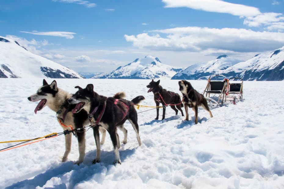 Slitta trainata da cani su neve con montagne.
