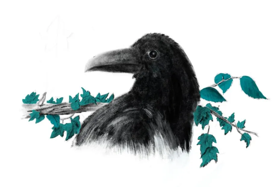 Corvo su ramo, illustrazione artistica in bianco e nero.