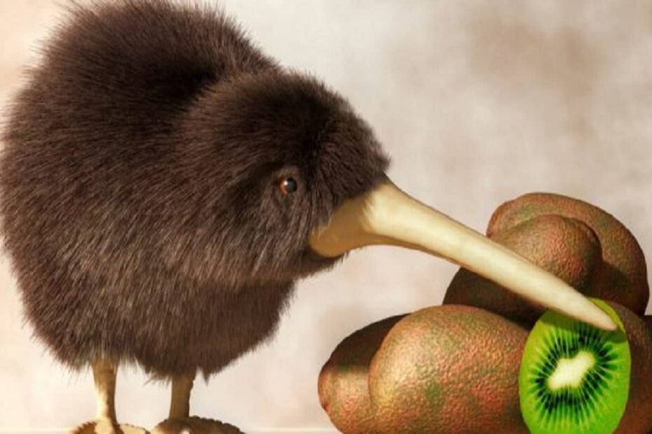 Kiwi animato con fetta di frutto kiwi.