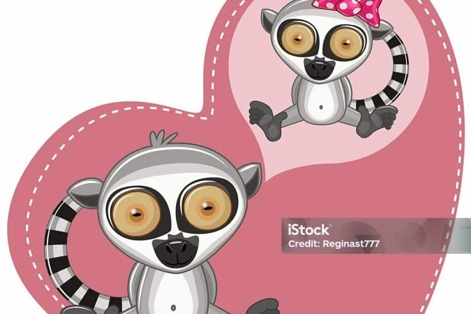 Lemuri cartoni animati su sfondo cuore rosa.
