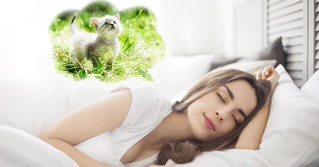 Donna che dorme, sogna gattino in erba.