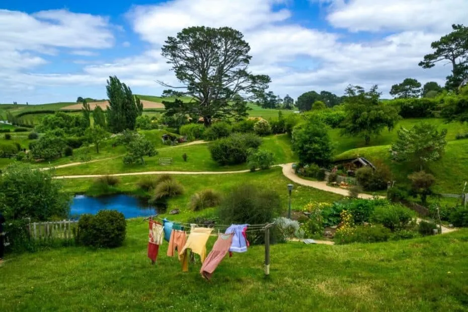 Paesaggio verde con stendibiancheria e sentiero.