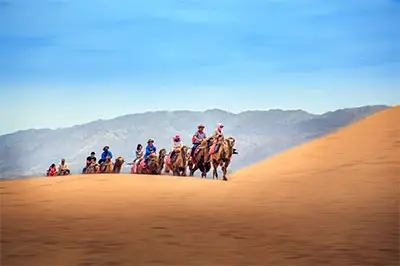 Carovana di cammelli nel deserto.