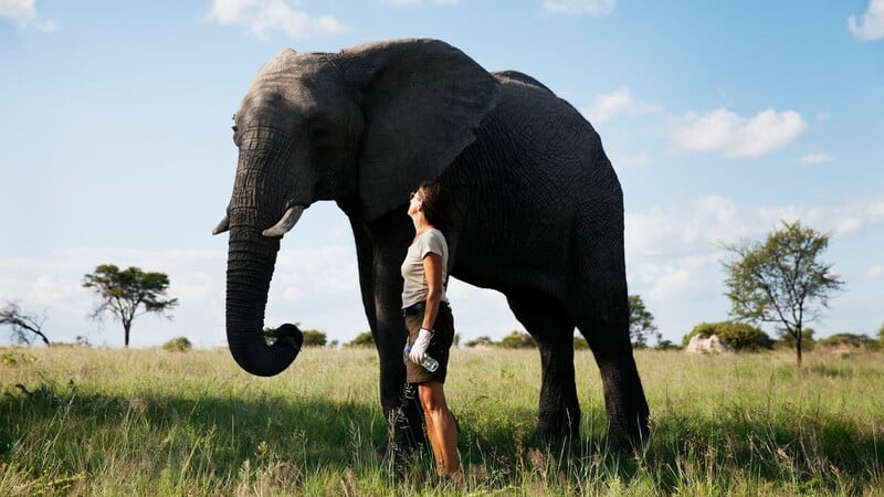 Donna accanto a elefante nella savana.